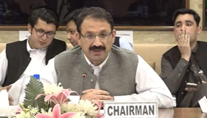 Junaid Akbar Khan chairing the PAC meeting, April 15, 2025. —Screengrab via Facebook@NationalAssemblyOfPakistan