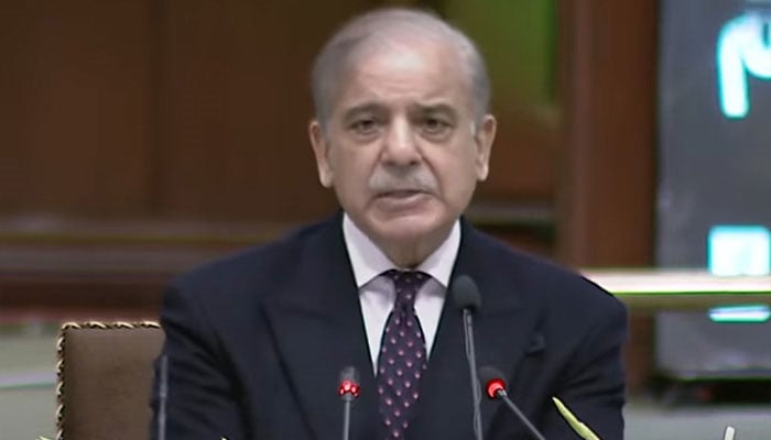 Prime Minister Shehbaz Sharif addresses cabinet meeting on March 4, 2025. — YouTube/Geo News/screengrab